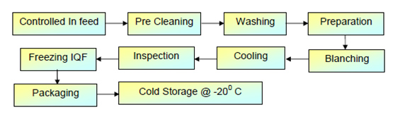 Iqf Process Flow Chart